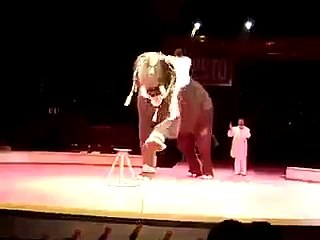 FUNNY ELEPHANT VIDEOS  FUNNY ELEPHANT 2016