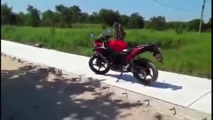 Insolita pelea callejera entre mono y borracho motociclista