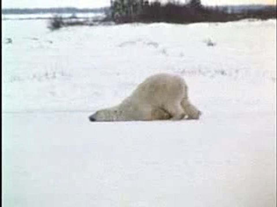 The best funny of 2016 на работу в понедельник