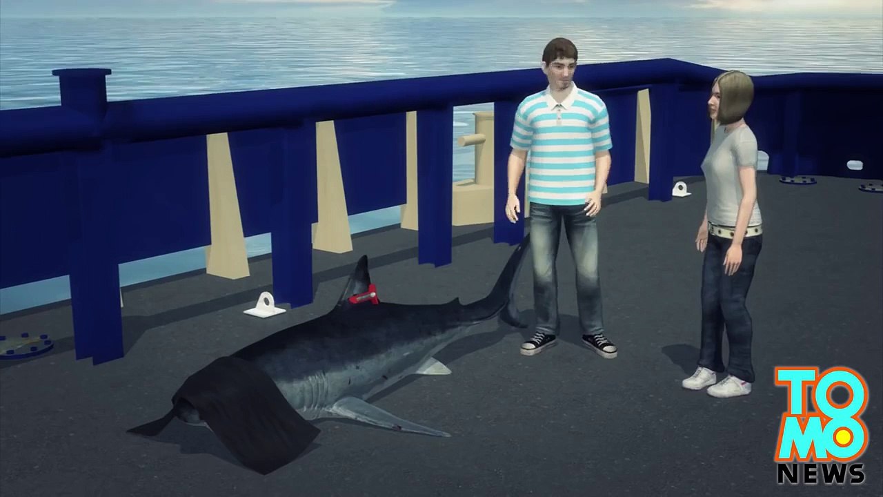Un géant requin blanc a été mangé par un monstre des mers aussi connu comme le megalodon