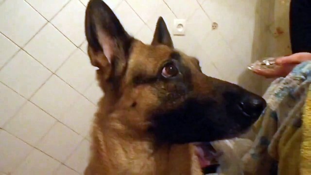 Перемена настроения в доли сек