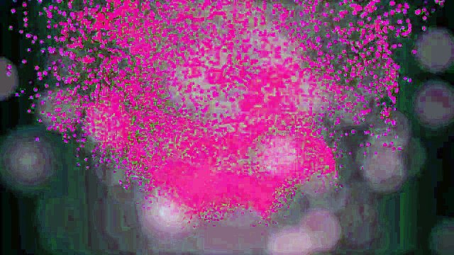 Prem Ratan Dhan Payo Title Song Parody Teaser __ Shudh Desi Gaane __ Salil Jamdar