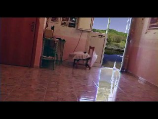 amo - cover by giusy - 70 anni