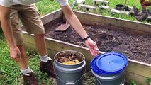 Farm Garden, Fruit Trees, Composting, & Food Forest Permaculture Beginnings