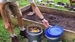Farm Garden, Fruit Trees, Composting, & Food Forest Permaculture Beginnings