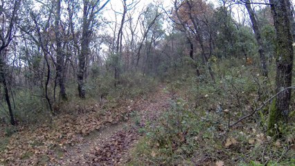 VTT-SAMEDI-19-DEC-73