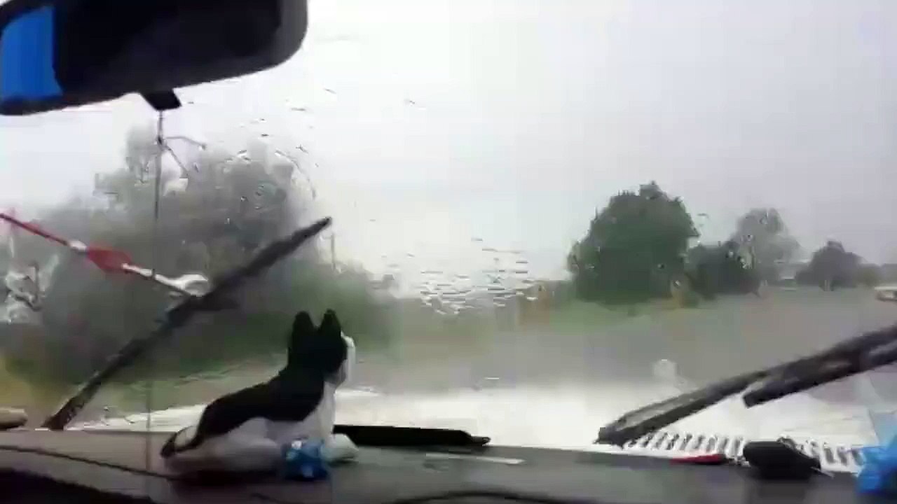 Car breaking down- No problem!