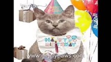 Happy Birthday Thomas