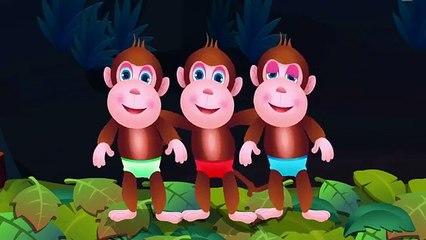 Chú khỉ con - nhạc thiếu nhi vui nhộn hay nhất