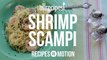 Shrimp Recipes - How to Make Shrimp Scampi