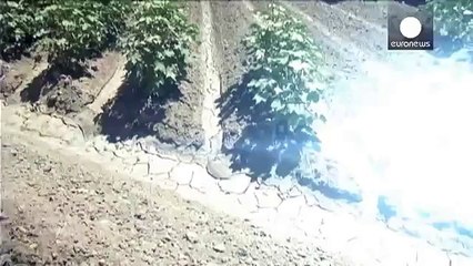 2015 yılında hava sıcaklığı rekor kırdı