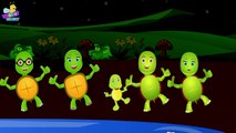 Tortoise Finger Family Songs | Turtles Finger Family | Finger Family Turtles