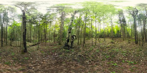 Survival Means Remaining Proactive (360 Video)