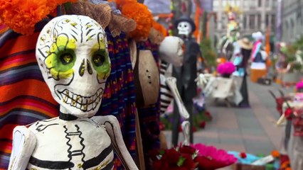 Spectre Behind-The-Scenes Vlog Featurettes 1-7