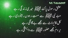 Sabri Brothers Qawali- Ya Sahib-Al-Jamal wa ya sayyad-ul Bashar(with Translation)