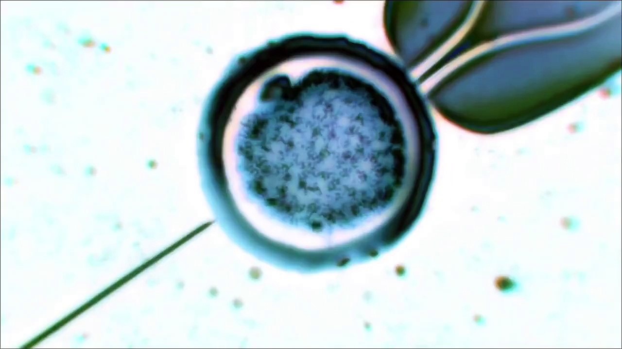 GOD EATER 2 - RAGE BURST ANNOUNCEMENT TRAILER - PS4 - PS Vita - PC Game