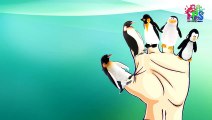 Finger Family Penguins Animation Nursery Rhyme | Children Cartoon Penguin Nursery Rhymes