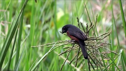 Curi처 - 1주임신 낙태가능한병원~ aaww2277@gmail.com 부담없이 메일로 문의하세요.