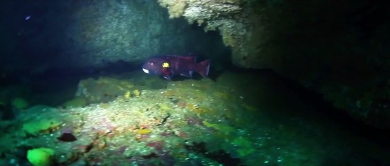 Diving - 2주임신 낙태가능한병원~ aaww2277@gmail.com 부담없이 메일로 문의하세요.