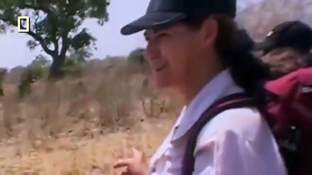 Lions vs Hyenas Kill and Destroy - Discovery Wild animals hunting