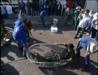 Yılanlı Küvete Giren Çılgın !!