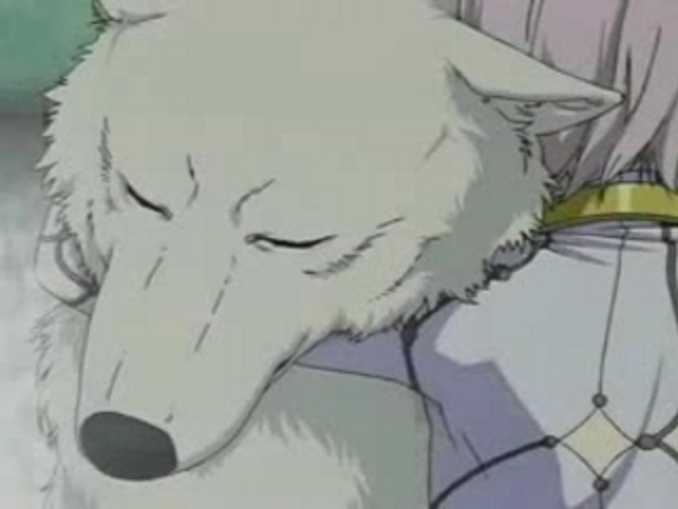 Wolf's Rain Forever