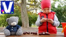 ► Прогулка по парку. Кормим чаек, голубей, уток. Walk in the park. Feeding seagulls, pigeons, ducks.