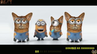 Minions Minions Banana Song (Cats)