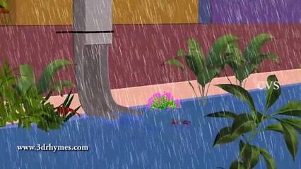 Itsy bitsy spider | Incy wincy spider 3D Animation English Nursery rhyme song for children