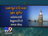 'Pirotan Island'- Interesting place for environment lovers, Jamnagar - Tv9 Gujarati
