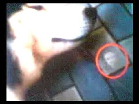 ghosts Paranormal : fantome