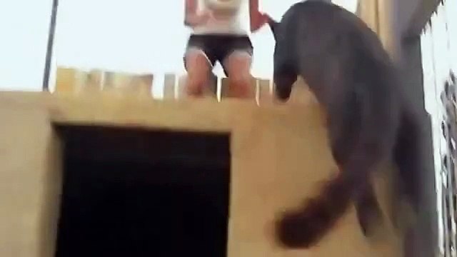 Офигеть киса, прикол смотреть всем))