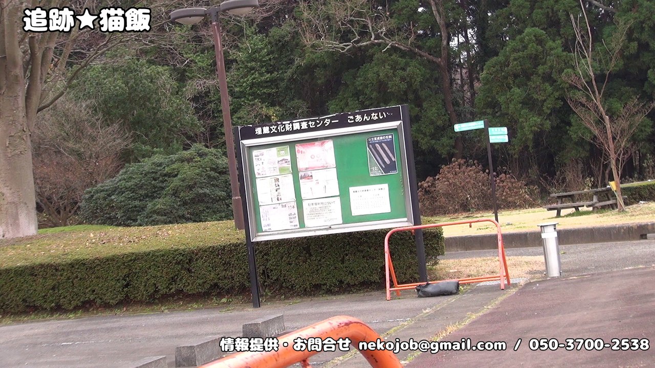 国指定史跡・虎塚古墳