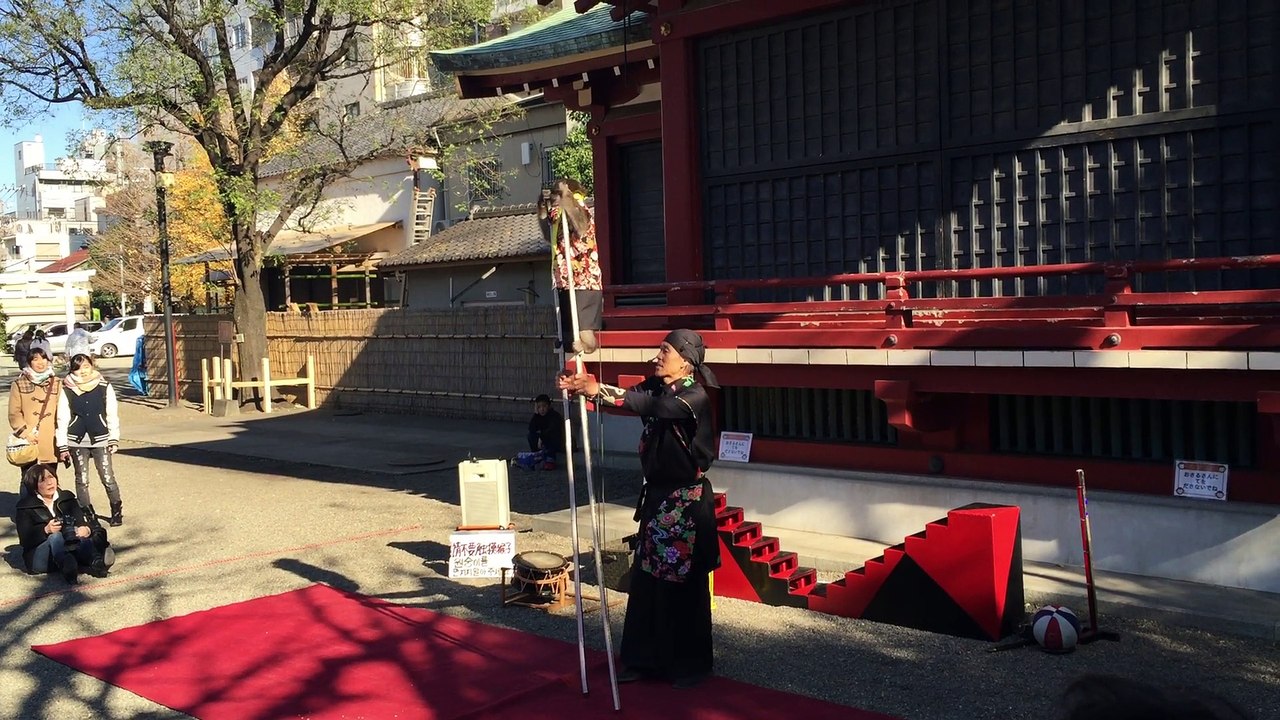 Monkey in Tokyo