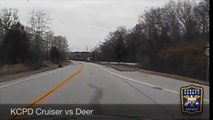 Deer Gets Hit By Cop Car, Does Triple Axel Over The Hood, Runs Into Woods