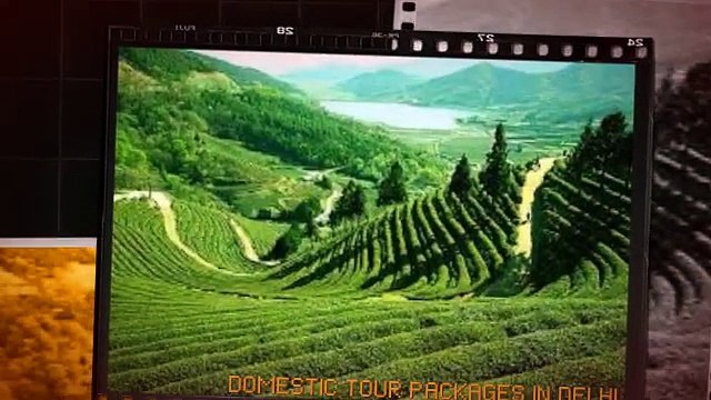 Darjeeling Gangtok Tour Packages