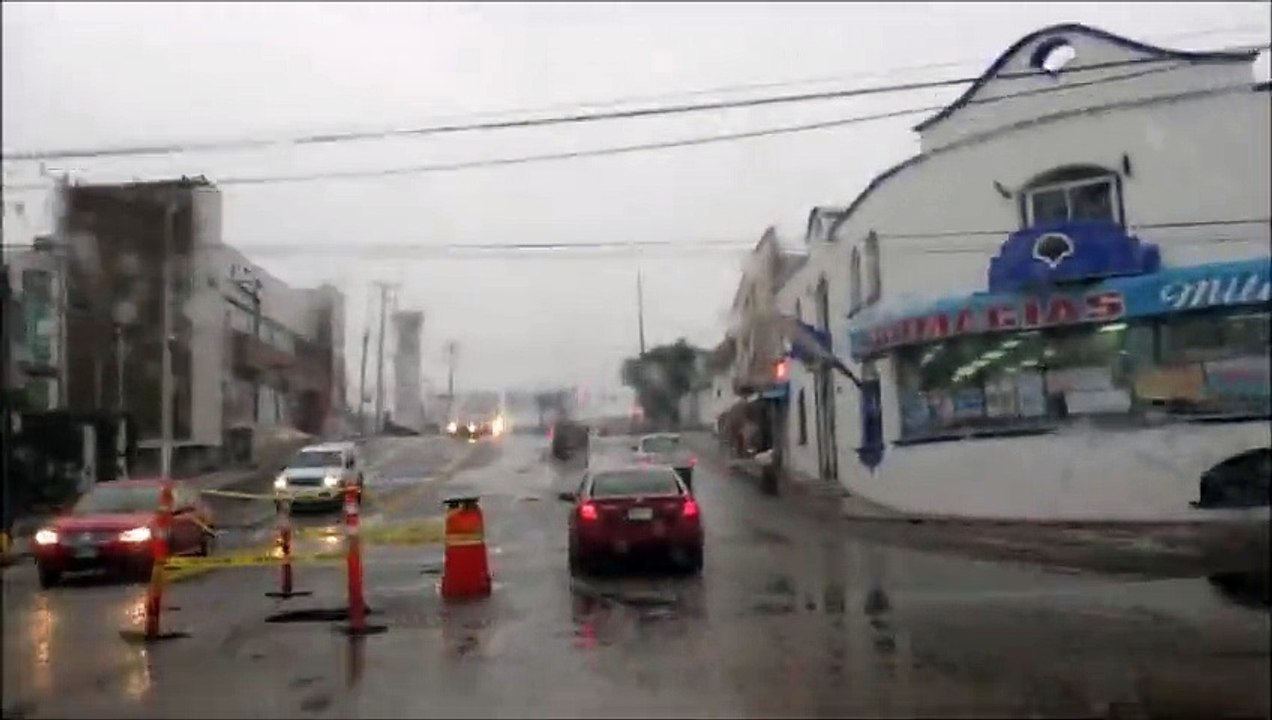 Abejorro Trip a Ensenada