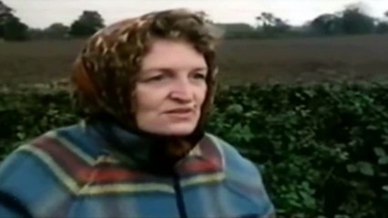 Amazing Extraterrestrial Encounter Over England 1954 (2013 HD)