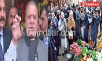 Nawaz Sharif In Vegetable Market FunnyTezabi Totay