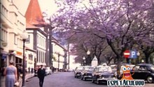 Enjoying Madeira in 1967