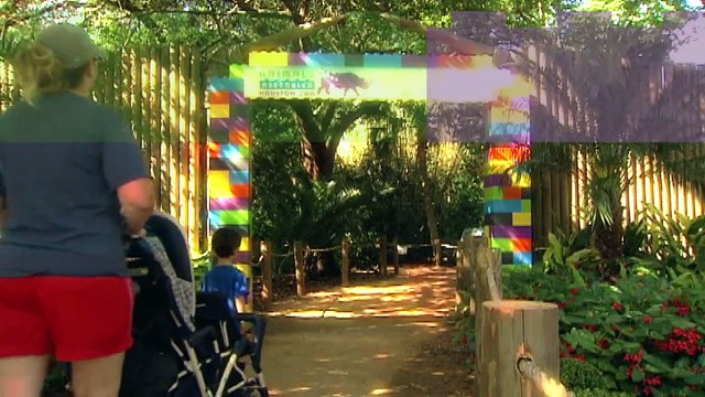 Animals Assembled׃ A Safari Built from LEGO Bricks, Presented by Fiesta