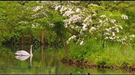 Pashto Naat Hafiz Abdull Wasi Samim Spidi Kho Raghli