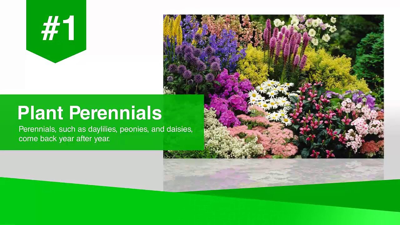 Signature Landscaping: Low Maintenance Landscaping Tips