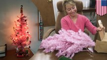 Maine high school teacher told to remove pink Christmas tree with Hello Kitty ornaments from classroom