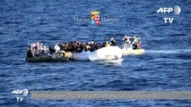 Méditerranée: 782 migrants secourus lors de huit opérations