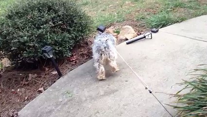 Z57 presents Lea's Found Something