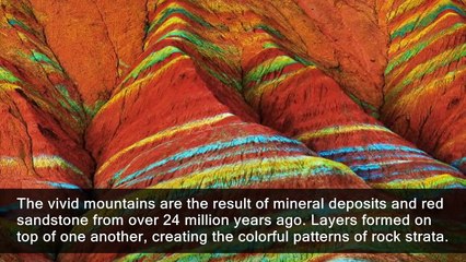 10 Craziest Things in Nature You Won't Believe Exist