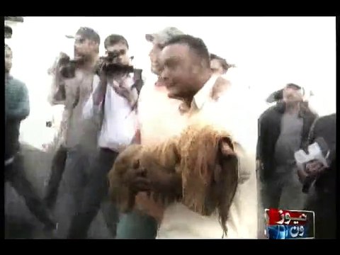 بلاول کے پروٹوکول نے ننھی بچی کی جان لے لی، اٹھئے وی آئی پی پروٹو کول کے خلاف