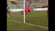 Najbolji golovi FK Sarajevo 2013.