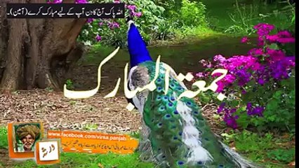 Peacock colors saying Beauty of Nature